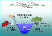 CO2安定炭素同位体の循環