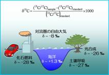 The CO2 cycle of a stable carbon isotope