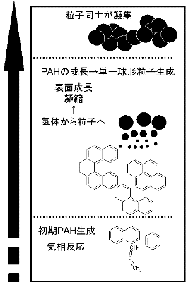 煤生成メカニズム